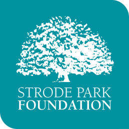 business logo