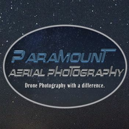 business logo