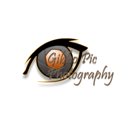 business logo