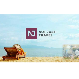 Not just travel courtney green logo