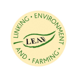 business logo