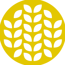 business logo