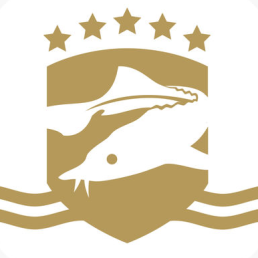 business logo