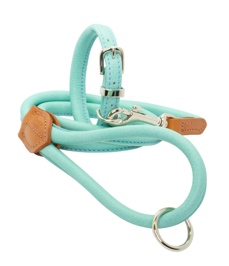 Summer Splash Competition. Your dog could WIN our AQUA rolled leather collar and lead set