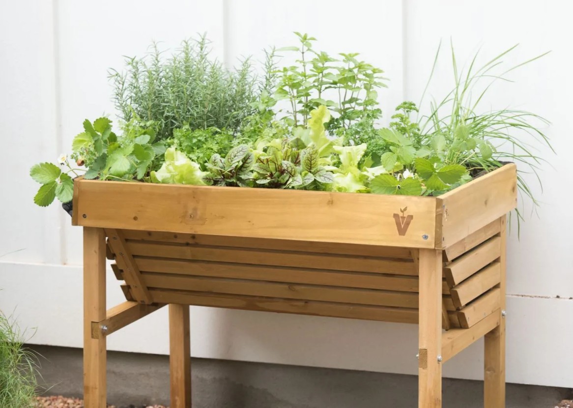 Create your own culinary herb garden that looks almost too good to eat