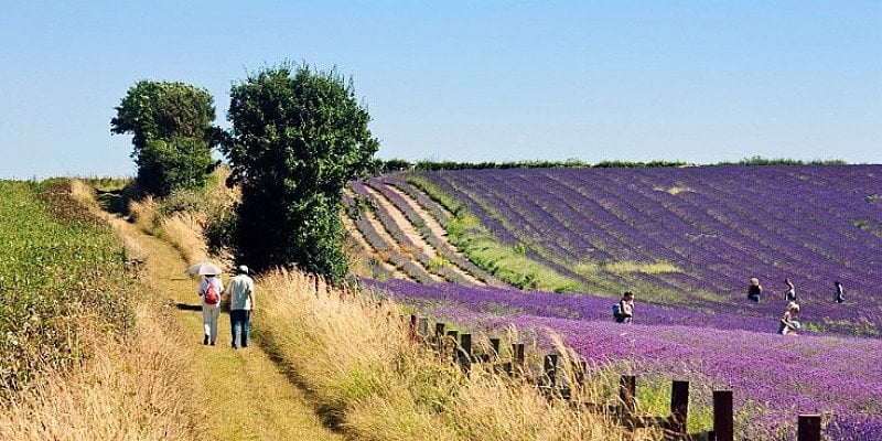 SAVE OVER 60% on Hertfordshire: Edwardian Manor stay for 2 with Wine!