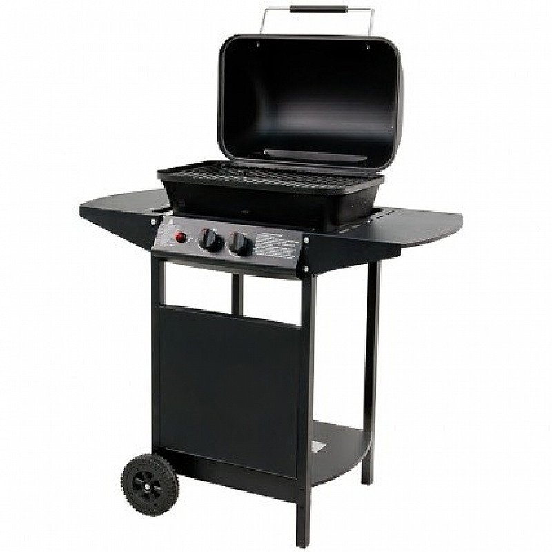SAVE OVER 40% on this Texas 2 Burner Gas BBQ!