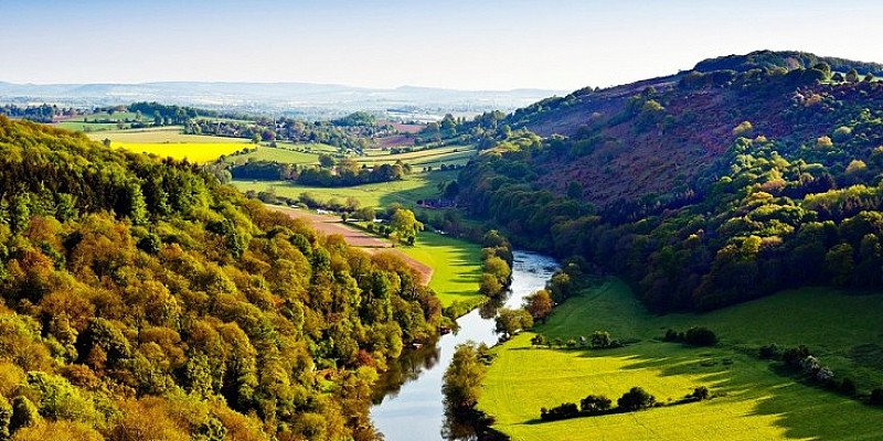 Forest of Dean Escape for 2 with cream tea - LESS THAN 1/2 PRICE!