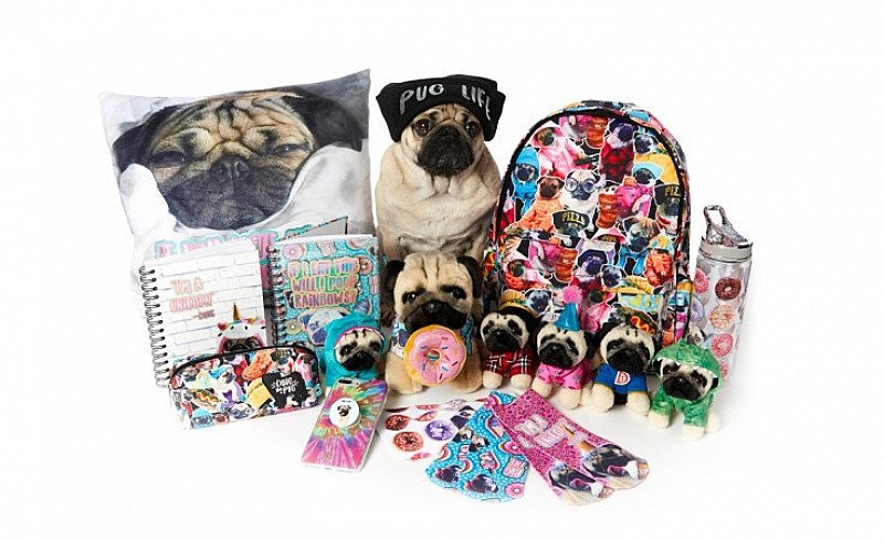 Collect the infamous Doug The Pug toys NOW - from ONLY £5.50!