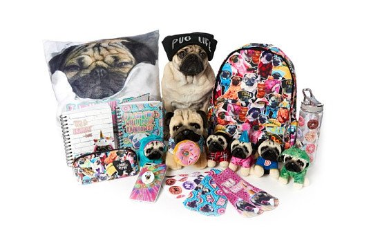 Collect the infamous Doug The Pug toys NOW - from ONLY £5.50!