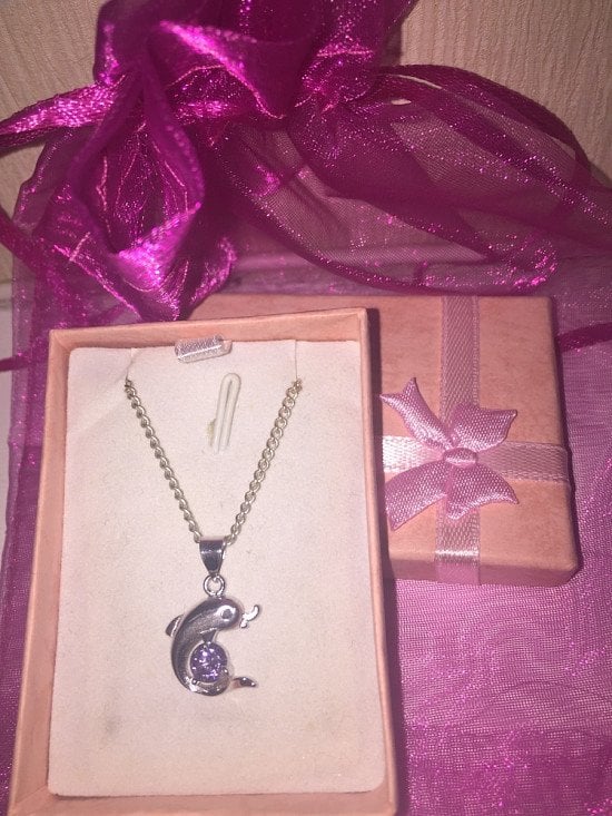 Win a necklace with silver dolphin pendant and amethyst crystal
