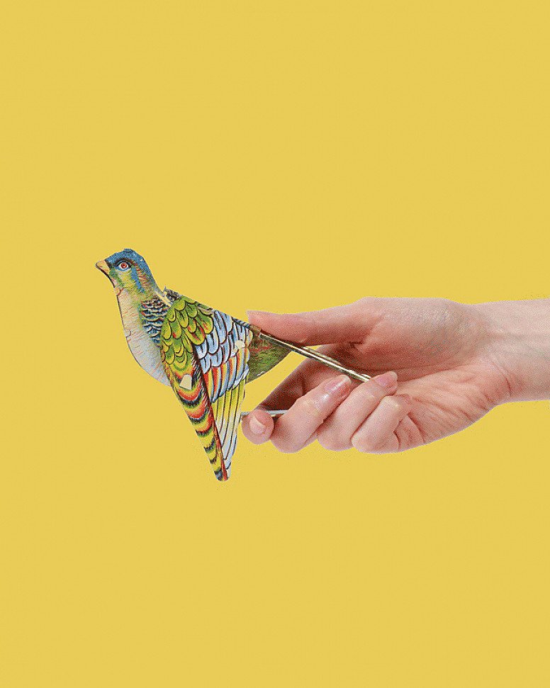 Whistling Sparrow Tin Toy - £4.99!