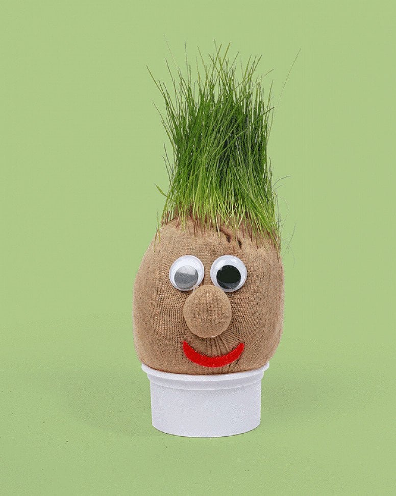 Have Fun Staying Home - Mr Grasshead: £5.99!