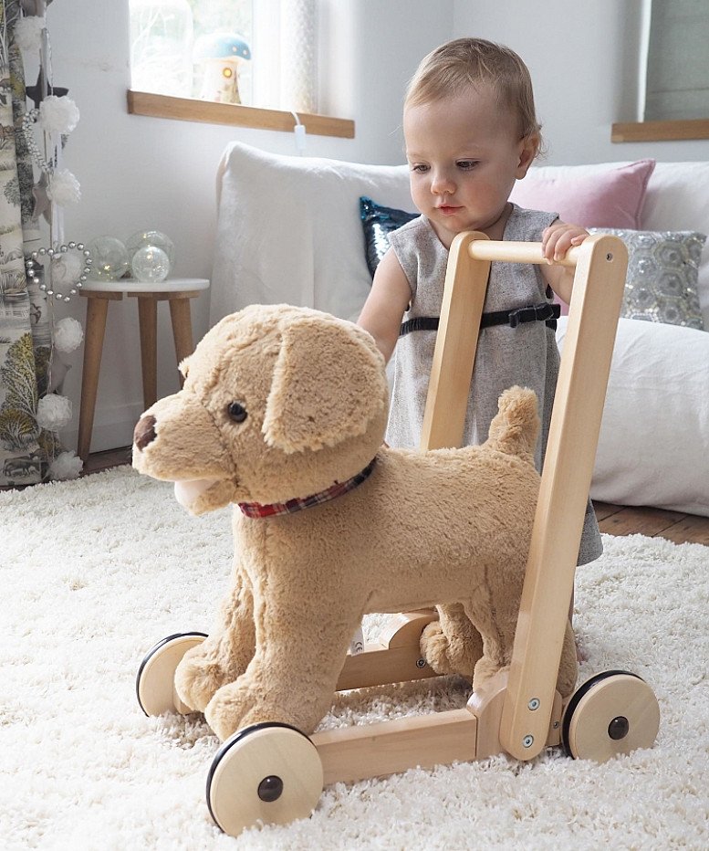 Max Push Along Wooden Walker