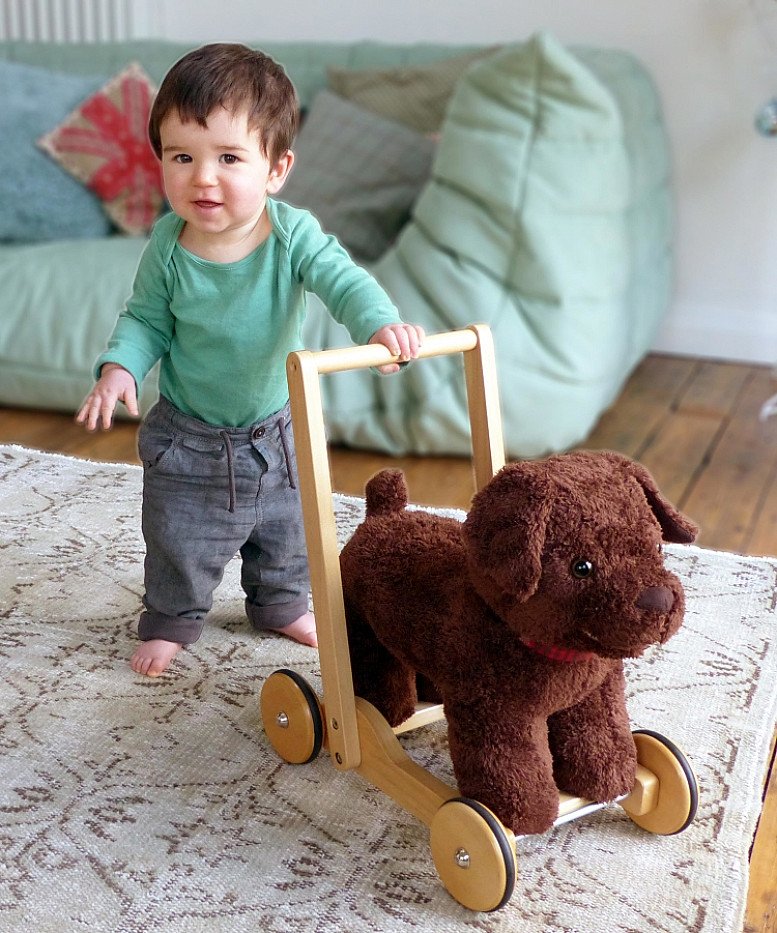 Peter Puppy Push Along Walker