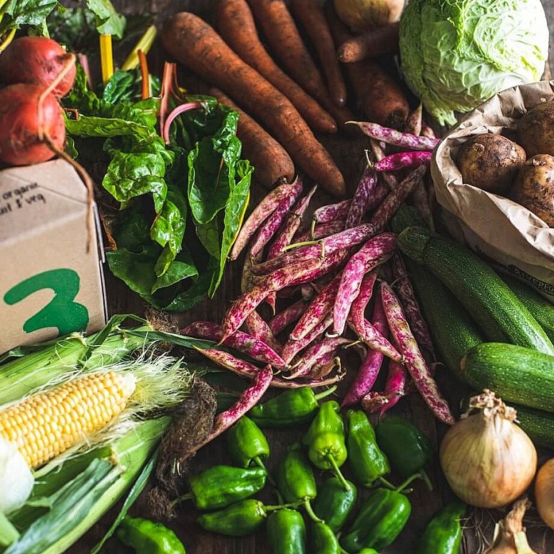 Organic Seasonal veg box, large: £20.55!