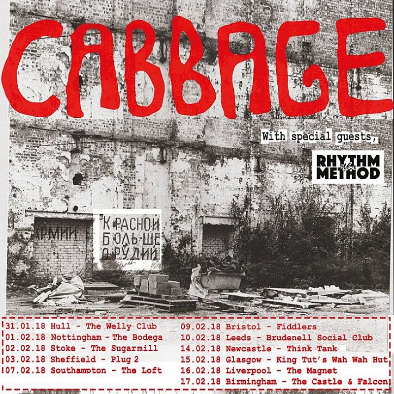 Cabbage