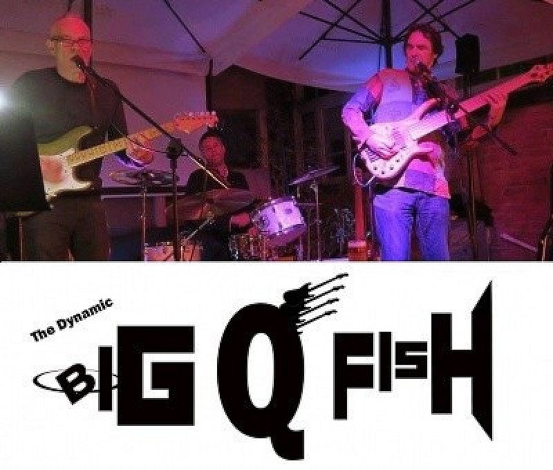The BIG Q FISH