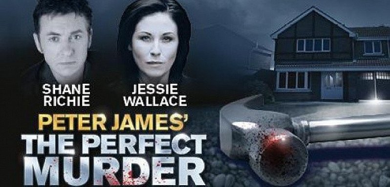 THE PERFECT MURDER