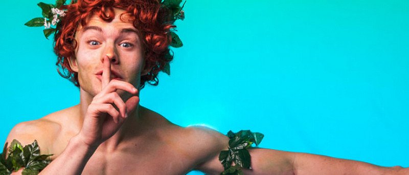 A Midsummer Night's Dream
