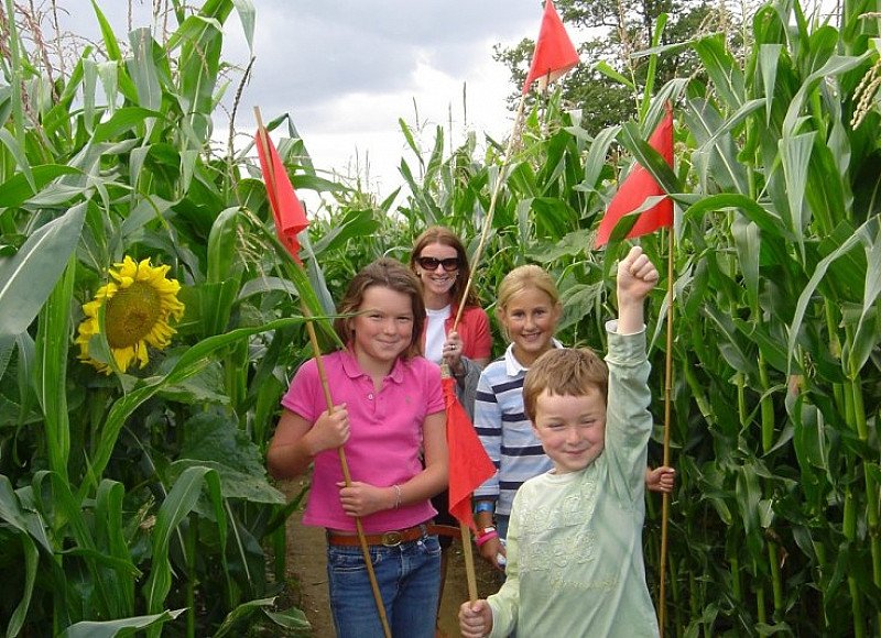 Wistow Maze 2018