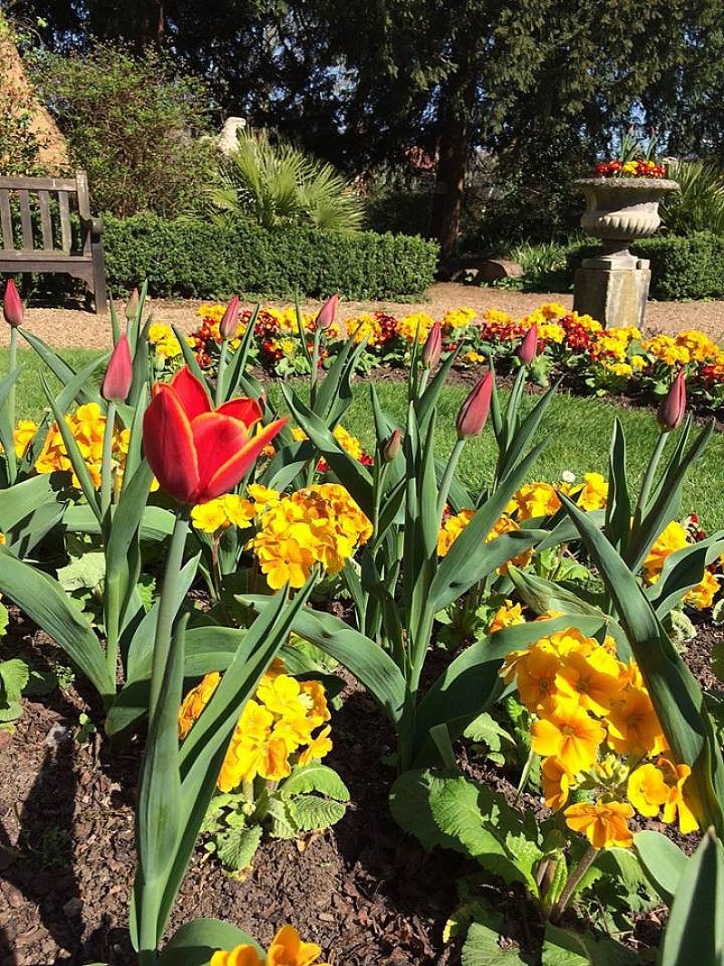 Garden Time: Wednesday 5 September
