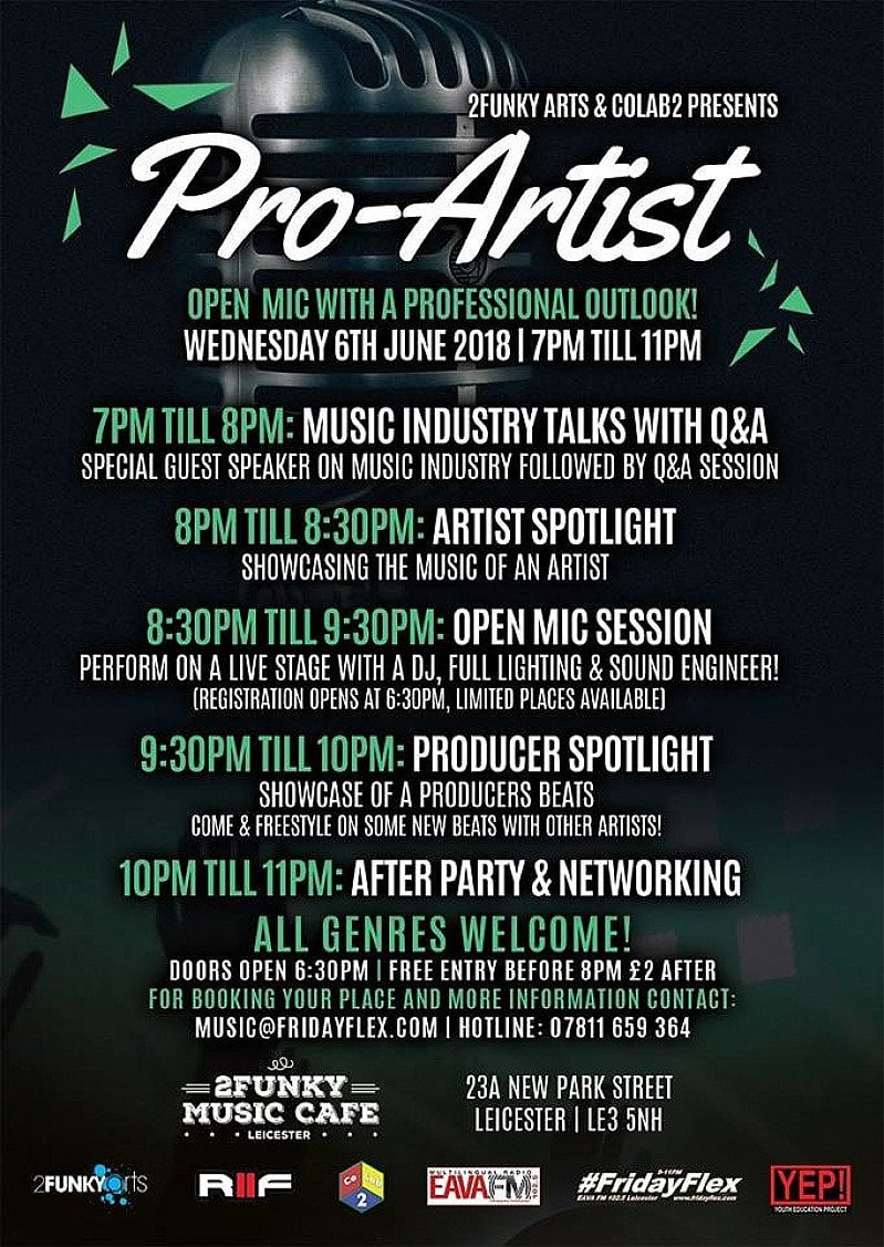Pro-Artist: Open mic with a professional outlook!