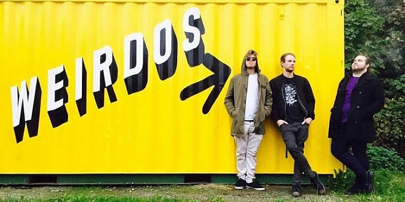 RAGWEED | VAULT |