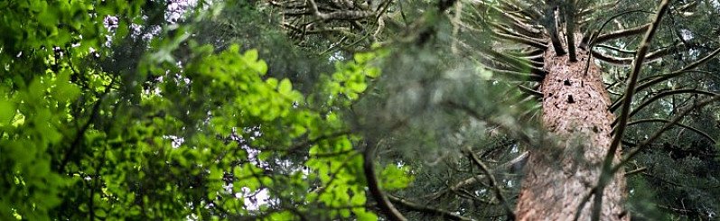 Photography – Beginner Workshop