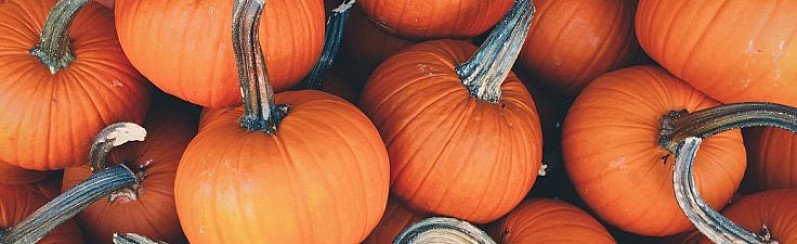 PYO Pumpkins