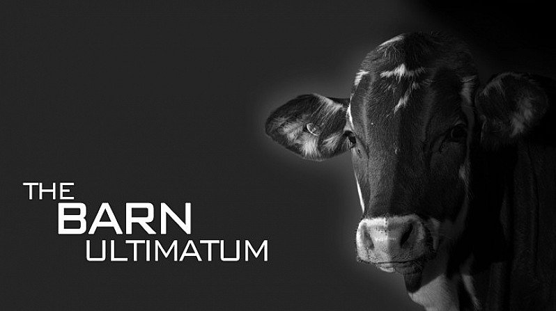 THE BARN ULTIMATUM