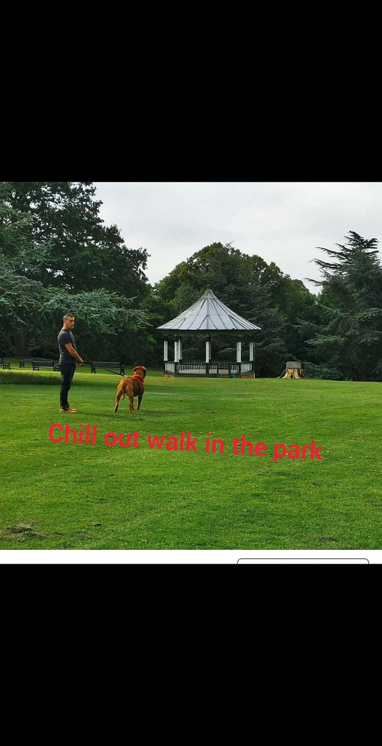 Working from anywhere