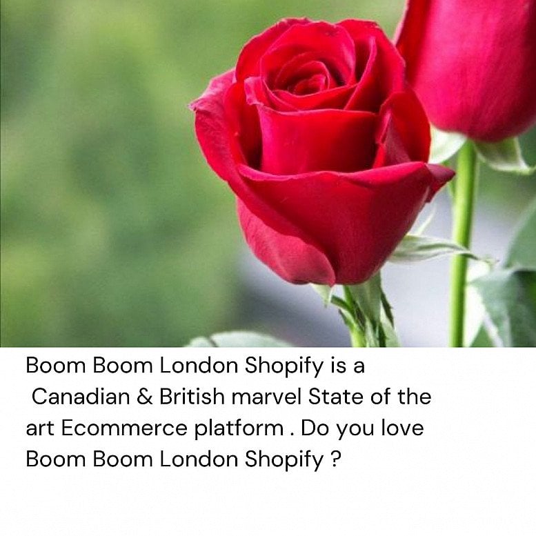 Boom Boom London Shopify Ecommerce Platform