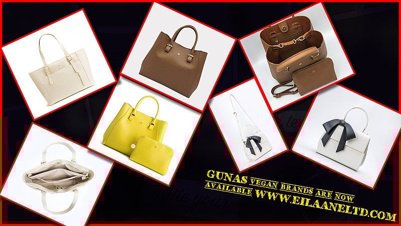 EILAANE LTD