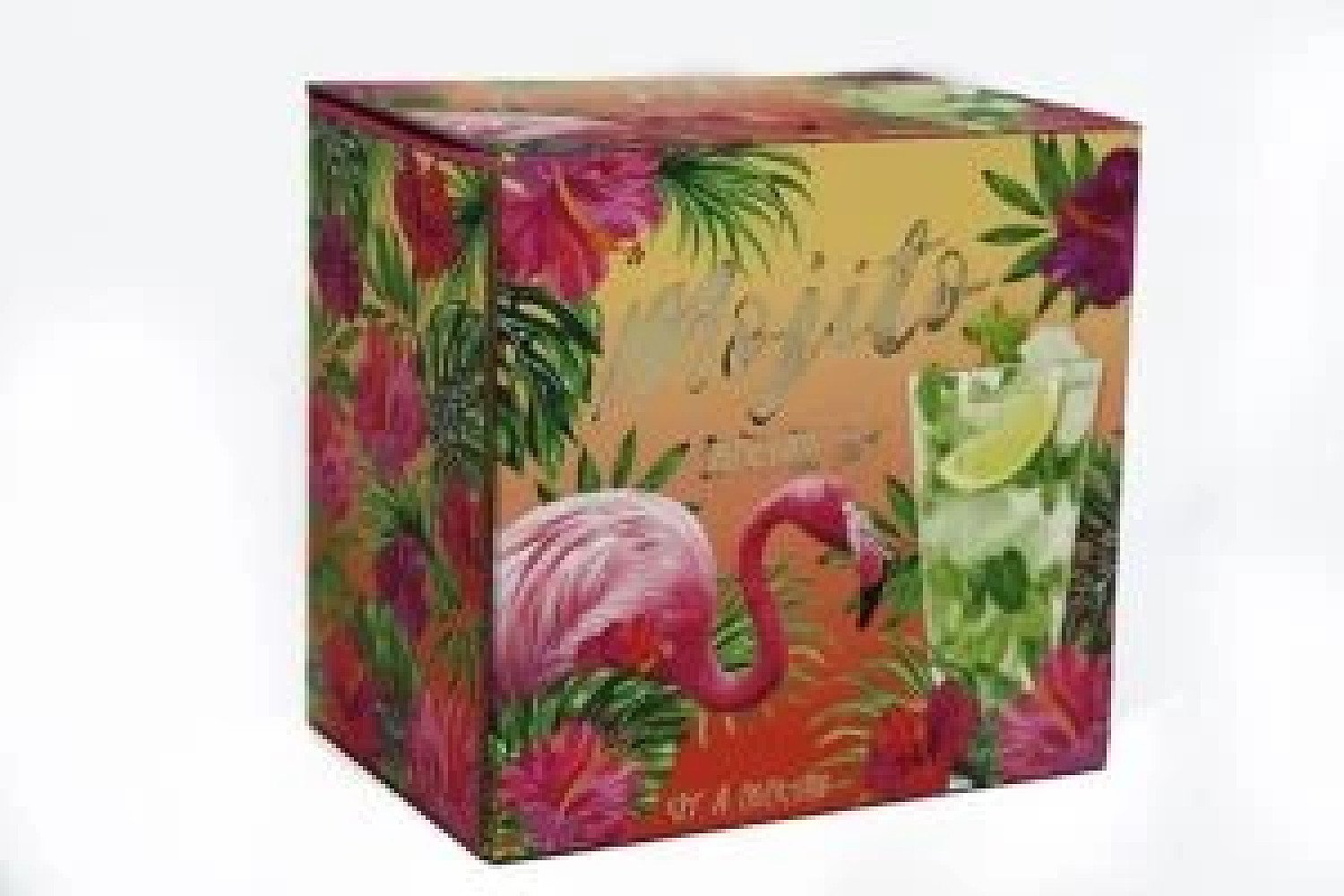 22Cm Glass Mojito Gift Set For 2 Tropical Theme Party Set Free Postage