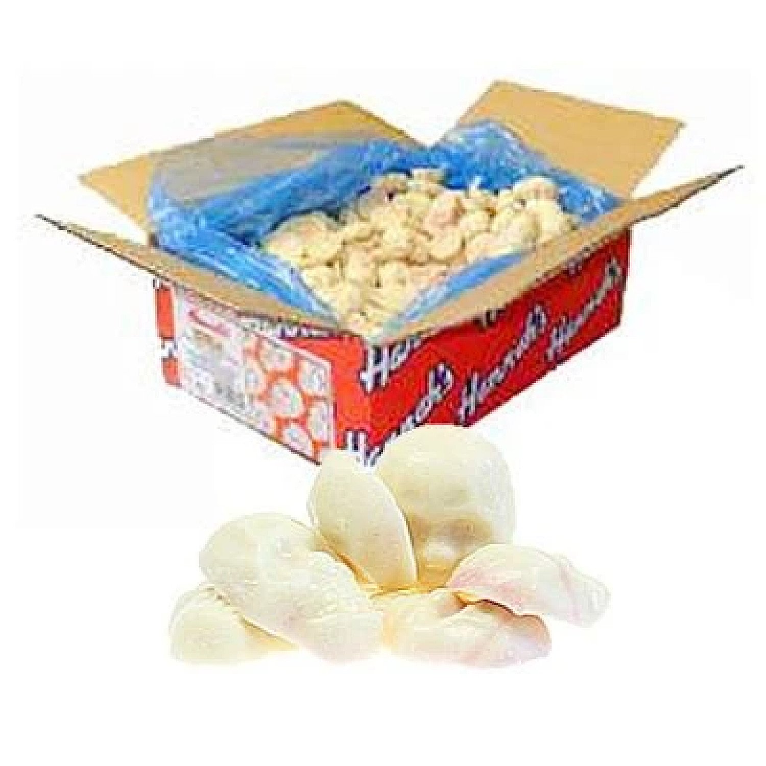 Skulls - 3kg Bulk Box White Chocolate Free Postage