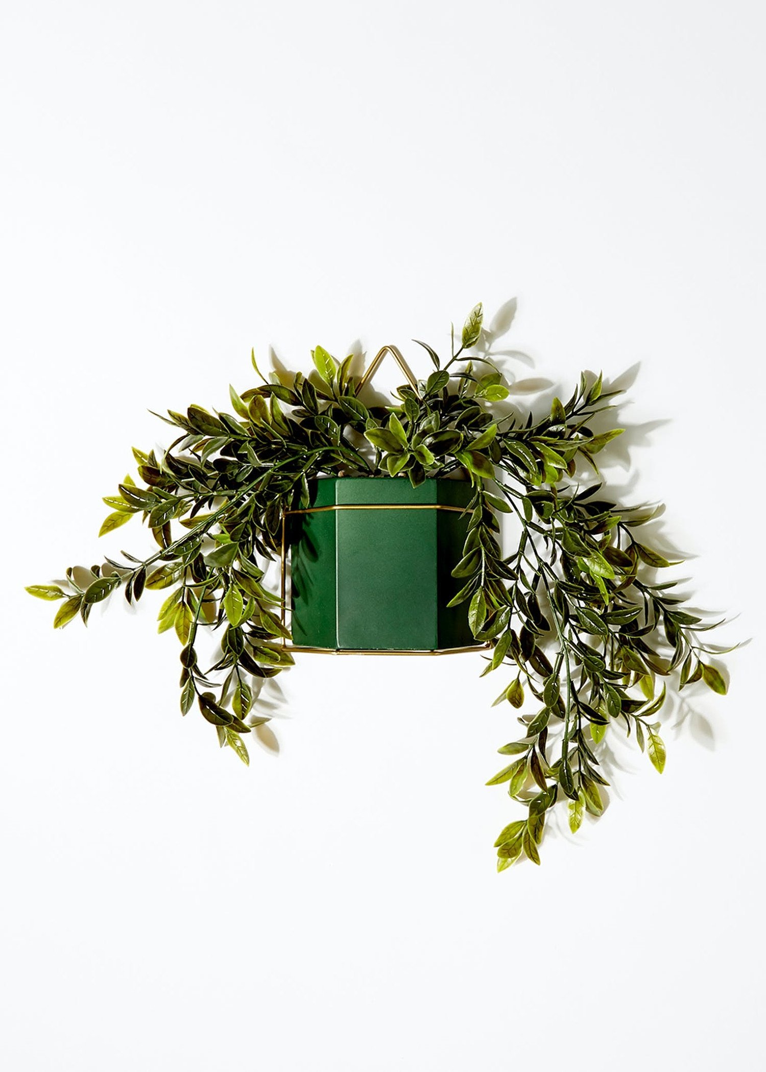 Trailing Plant in Ceramic Wall Pot (40cm) £12.00! Matalan Promotion