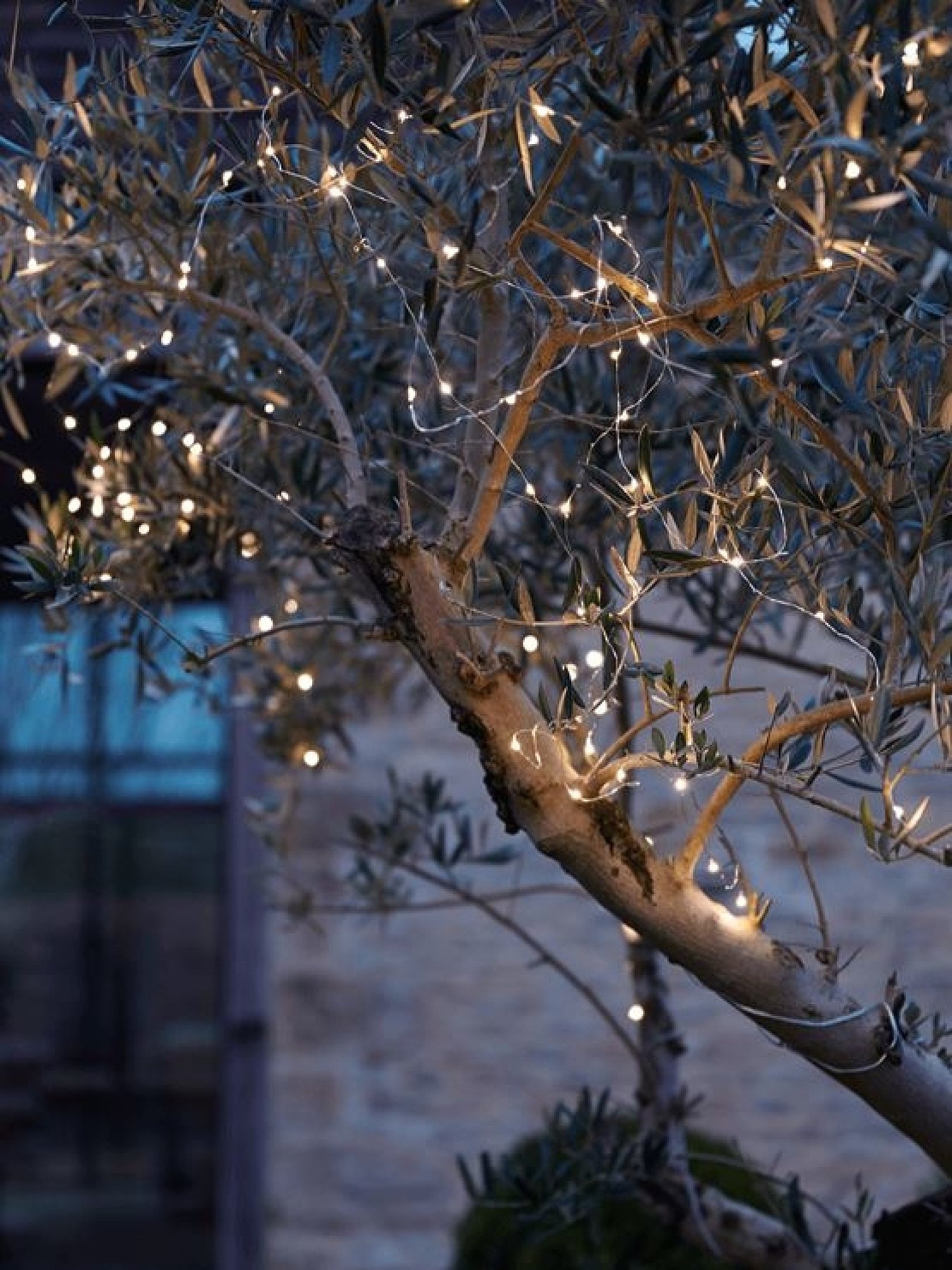 NEW Naked Wire Lights 9M - £30.00!