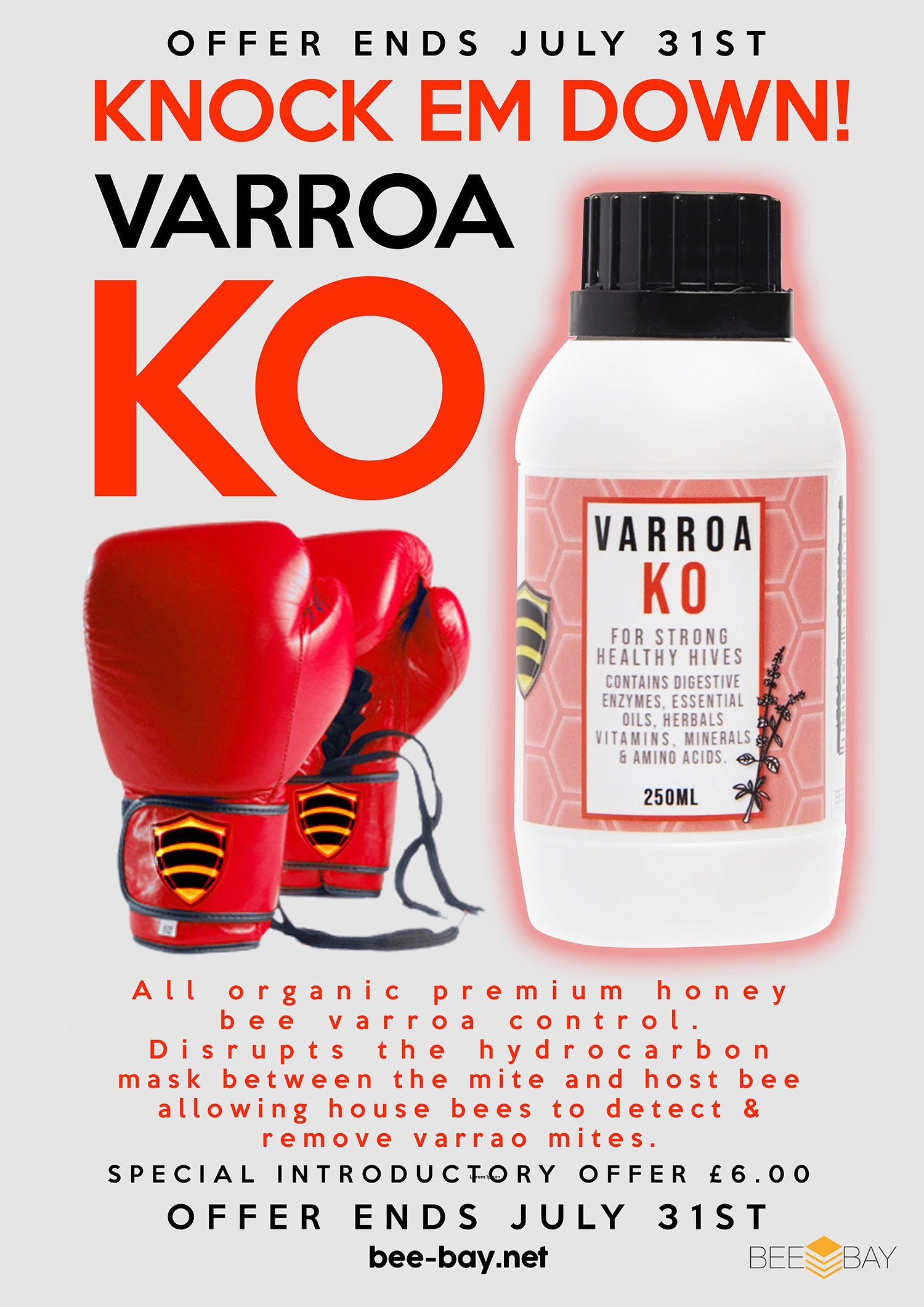 HALF PRICE PROMOTION ON OUR MOST POPULAR PRODUCT