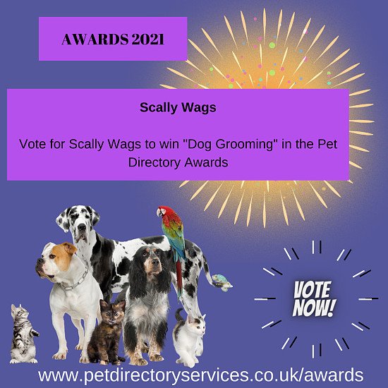 Pet Directory Awards