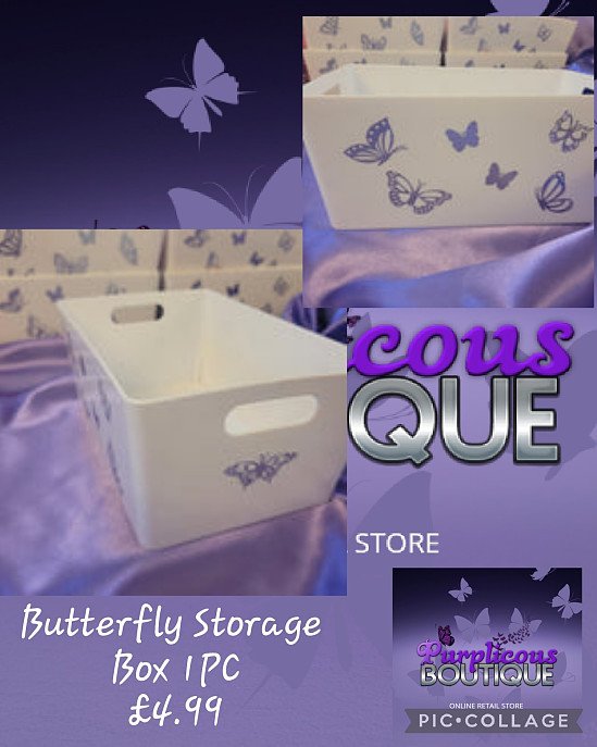 Butterfly Storage Box 1PC 💥£4.99