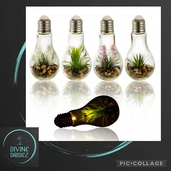LED Light Artificial Plant In Hanging Glass Bulb Pot Decor Lighting Terrarium