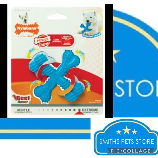 Nylabone puppy teething chew textured crossbone-x-small