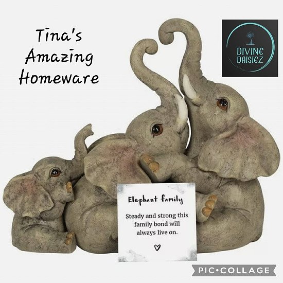 This cutie is in stock
