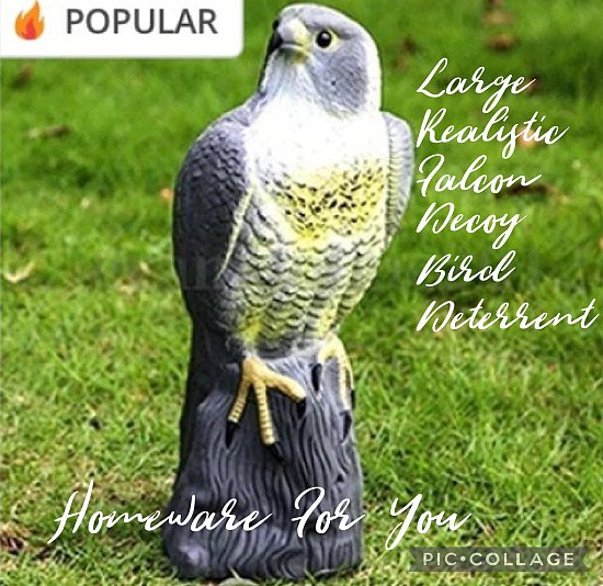 Large Realistic Falcon Decoy Bird Deterrent Full Bodied Bird Of Prey.